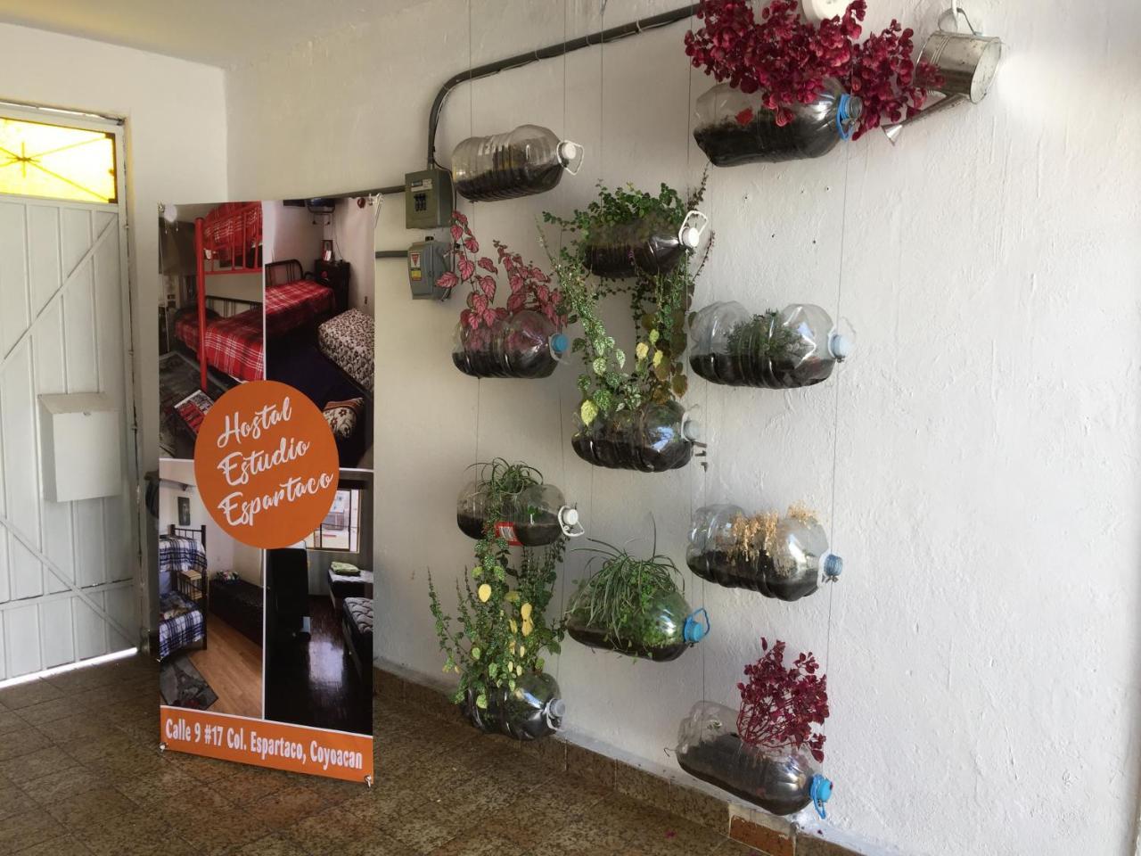 Guest house Estudio Espartaco *